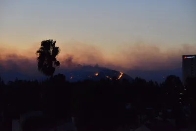 DSC_5609 (Large).JPG